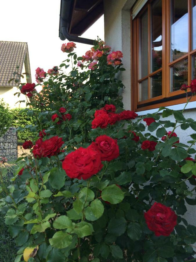 Ferienwohnung Stoerblick Schwerin Raben Steinfeld 外观 照片